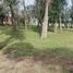  Land for sale in La Plata, Buenos Aires, La Plata