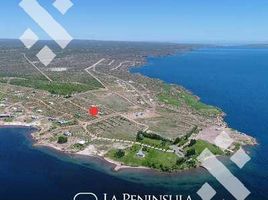  Land for sale in Confluencia, Neuquen, Confluencia