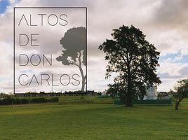  Land for sale in La Plata, Buenos Aires, La Plata