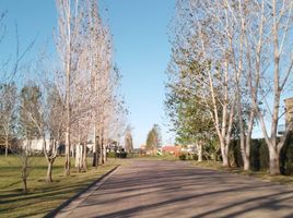  Terrain for sale in Canuelas, Buenos Aires, Canuelas