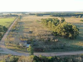  Land for sale in Colon, Entre Rios, Colon