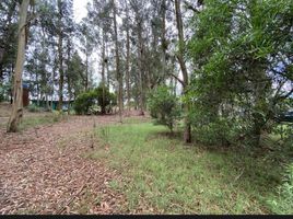  Land for sale in Villa Gesell, Buenos Aires, Villa Gesell