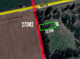  Land for sale in General Alvarado, Buenos Aires, General Alvarado