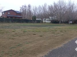  Land for sale in Confluencia, Neuquen, Confluencia