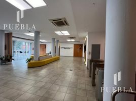 100 SqM Office for rent in Federal Capital, Buenos Aires, Federal Capital