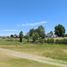  Land for sale in Confluencia, Neuquen, Confluencia