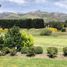 4 Habitación Villa en venta en Lacar, Neuquen, Lacar