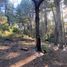  Land for sale in Rio Negro, Bariloche, Rio Negro