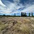  Land for sale in Confluencia, Neuquen, Confluencia