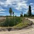  Land for sale in Confluencia, Neuquen, Confluencia