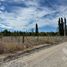  Land for sale in Confluencia, Neuquen, Confluencia