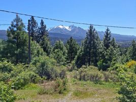  Grundstück zu verkaufen in Cushamen, Chubut, Cushamen