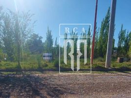  Land for sale in Rio Negro, General Roca, Rio Negro