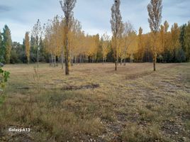 Studio Villa for sale in Argentina, Confluencia, Neuquen, Argentina