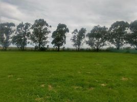  Land for sale in Capital, Cordoba, Capital