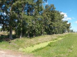  Land for sale in La Plata, Buenos Aires, La Plata