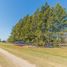  Land for sale in Lujan Buenos Aires, Lujan