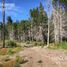  Land for sale in Rio Negro, Bariloche, Rio Negro