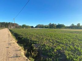  Land for sale in La Plata, Buenos Aires, La Plata