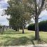  Land for sale in San Vicente, Buenos Aires, San Vicente