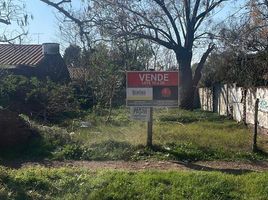  Land for sale in Brandsen, Buenos Aires, Brandsen