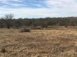  Land for sale in Calamuchita, Cordoba, Calamuchita