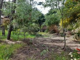  Land for sale in Villa Gesell, Buenos Aires, Villa Gesell