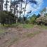  Land for sale in Villa Gesell, Buenos Aires, Villa Gesell