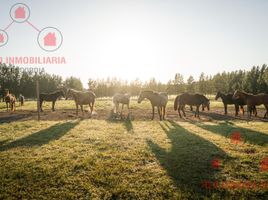  Terreno (Parcela) en venta en Concordia, Entre Rios, Concordia