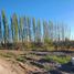  Land for sale in Confluencia, Neuquen, Confluencia