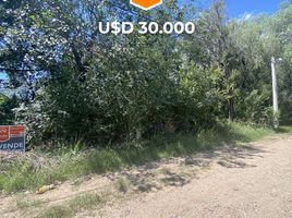  Land for sale in Junin, San Luis, Junin