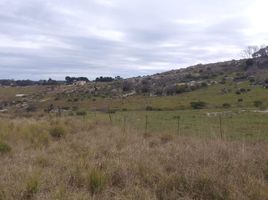  Terreno (Parcela) en venta en Tandil, Buenos Aires, Tandil