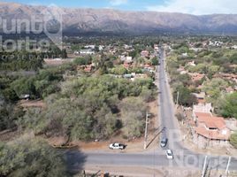  Terreno (Parcela) en venta en Junin, San Luis, Junin