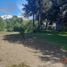  Land for sale in Alumine, Neuquen, Alumine