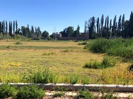  Land for sale in Confluencia, Neuquen, Confluencia