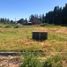  Land for sale in Confluencia, Neuquen, Confluencia