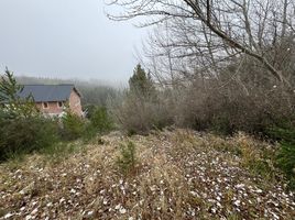  Terreno (Parcela) en venta en Neuquen, Lacar, Neuquen