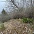  Land for sale in Neuquen, Lacar, Neuquen