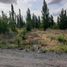  Land for sale in Neuquen, Confluencia, Neuquen