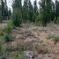  Land for sale in Neuquen, Confluencia, Neuquen