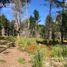  Land for sale in Rio Negro, Bariloche, Rio Negro