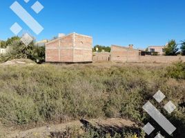  Land for sale in Confluencia, Neuquen, Confluencia