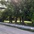 Terrain à vendre à La Plata, Buenos Aires, La Plata