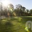  Land for sale in Brandsen, Buenos Aires, Brandsen