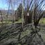  Land for sale in Rio Negro, Bariloche, Rio Negro