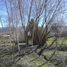  Land for sale in Rio Negro, Bariloche, Rio Negro