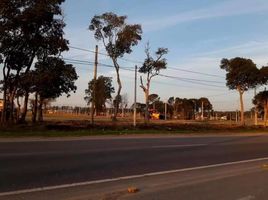  Land for sale in La Plata, Buenos Aires, La Plata