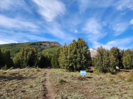  Terreno (Parcela) en venta en Lacar, Neuquen, Lacar