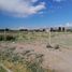  Land for sale in Guaymallen, Mendoza, Guaymallen