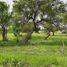  Land for sale in Colon, Entre Rios, Colon